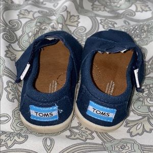 Baby toms